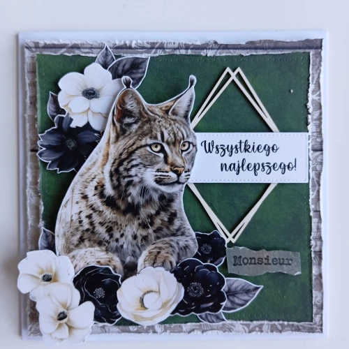 kartka z rysiem na dzień mężczyzn (1).webp