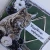 kartka z rysiem na dzień mężczyzn (7).webp