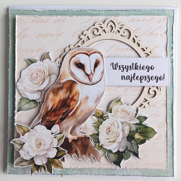 Kartka z płomykówką (1).jpg