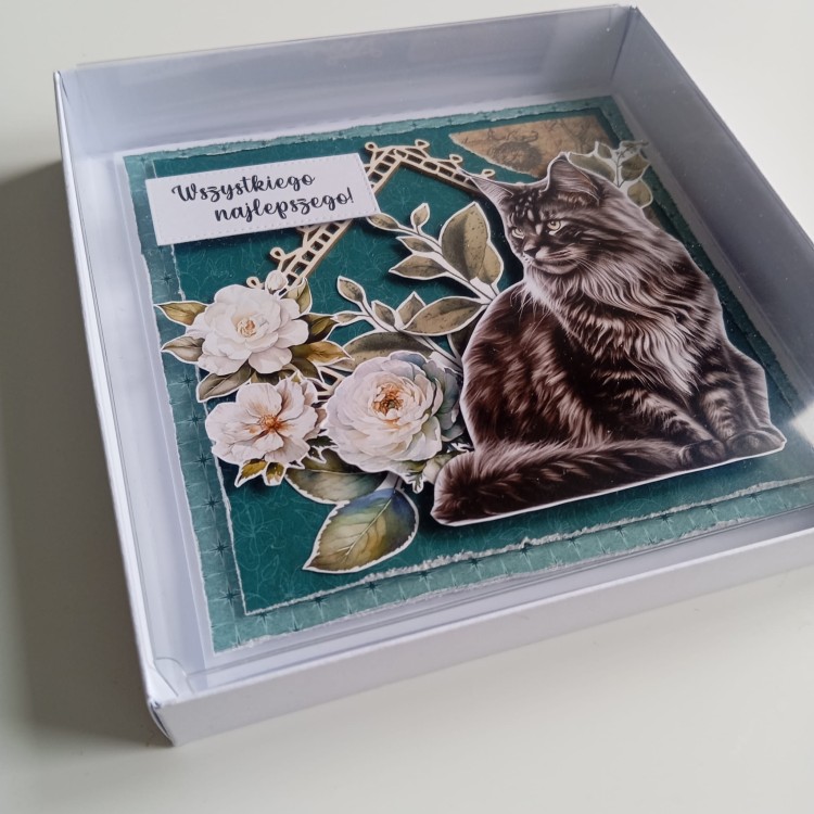 Kartka turkusowa z kotem (2).jpg