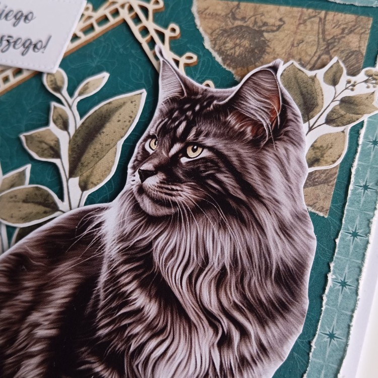 Kartka turkusowa z kotem (5).jpg