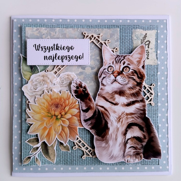 Kartka jasnoniebieska z kotem (1).jpg