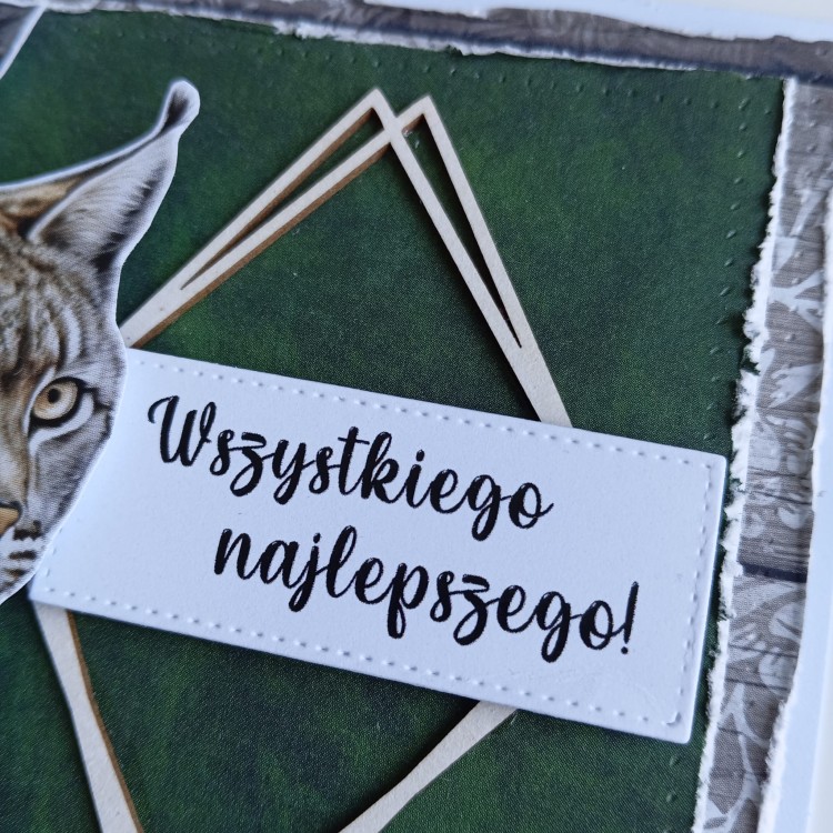 kartka z rysiem na dzień mężczyzn (5).jpg